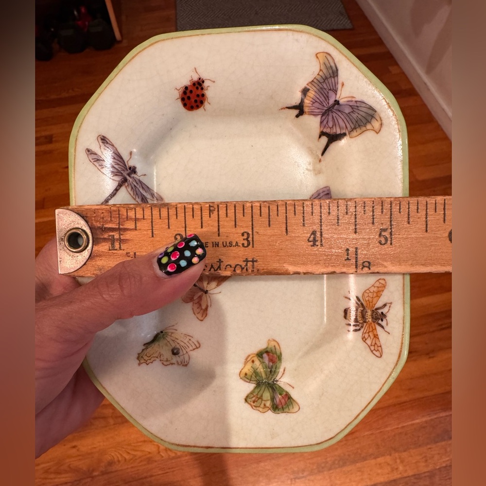 Anthropologie Butterfly and Insect Plate with Green Trim. See pics for dime - Picture 4 of 4